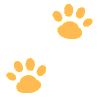 GrainNy